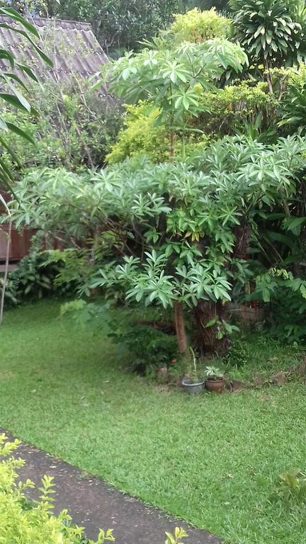 Ning Ning Guesthouse Ban Ngoy-Nua Exterior foto