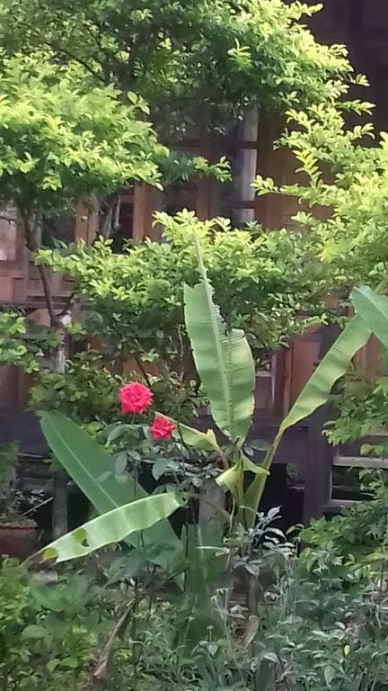 Ning Ning Guesthouse Ban Ngoy-Nua Exterior foto